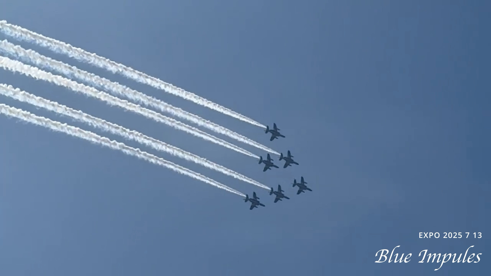 IMG_2312.JPG