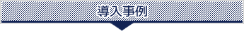 導入事例